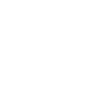 Gunstock